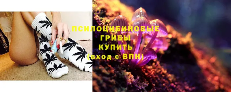 Галлюциногенные грибы MAGIC MUSHROOMS  Новошахтинск 